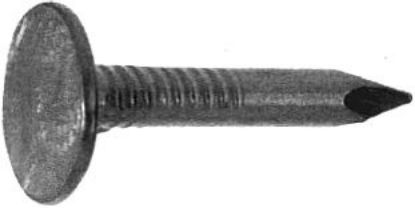 Afbeelding - 1022023-jpg